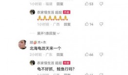 二八事件最新爆料视频,视频爆料揭示惊人内幕