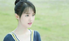 郑爽外网爆料视频大全,揭秘明星私生活背后的真相